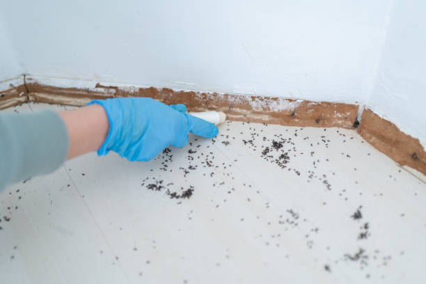 Best Best Pest Control Companies  in Tyler, TX